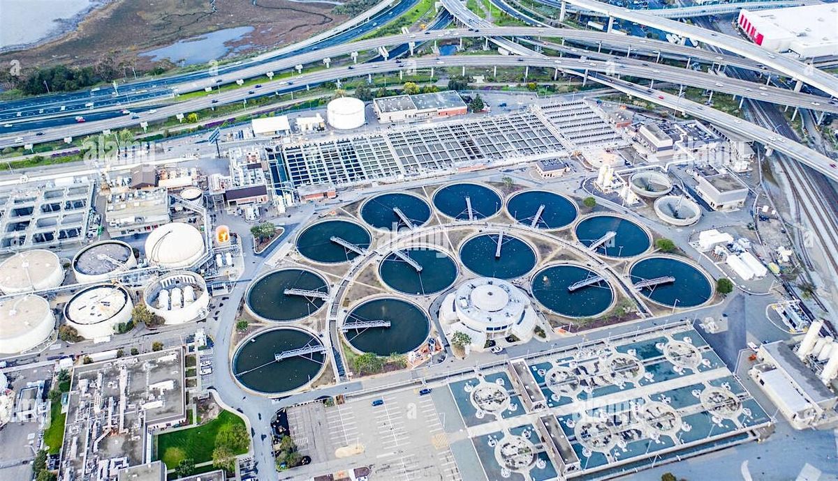 Protecting Our Bay: The Vital Role of Wastewater Management