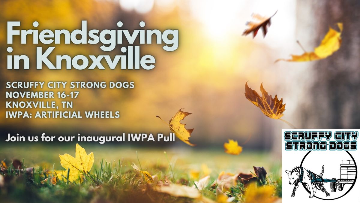 IWPA - Friendsgiving in Knoxville