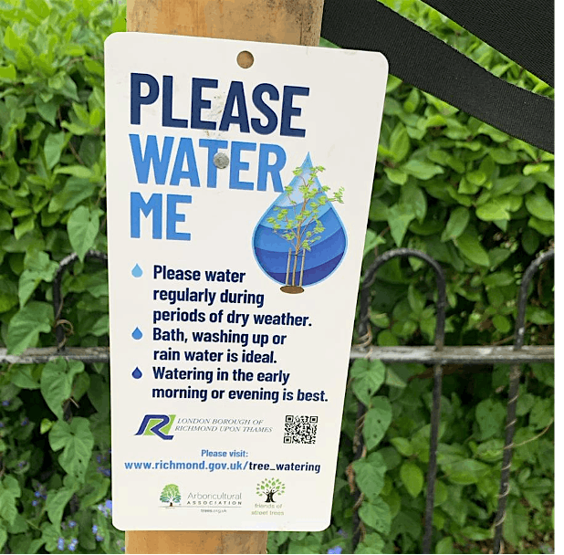 Street Trees in Kew - Call to Action