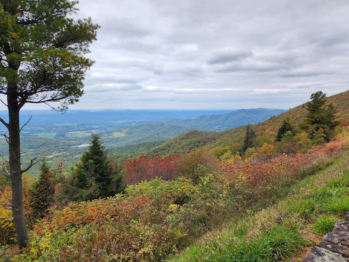 2024 Fall Foliage Ride