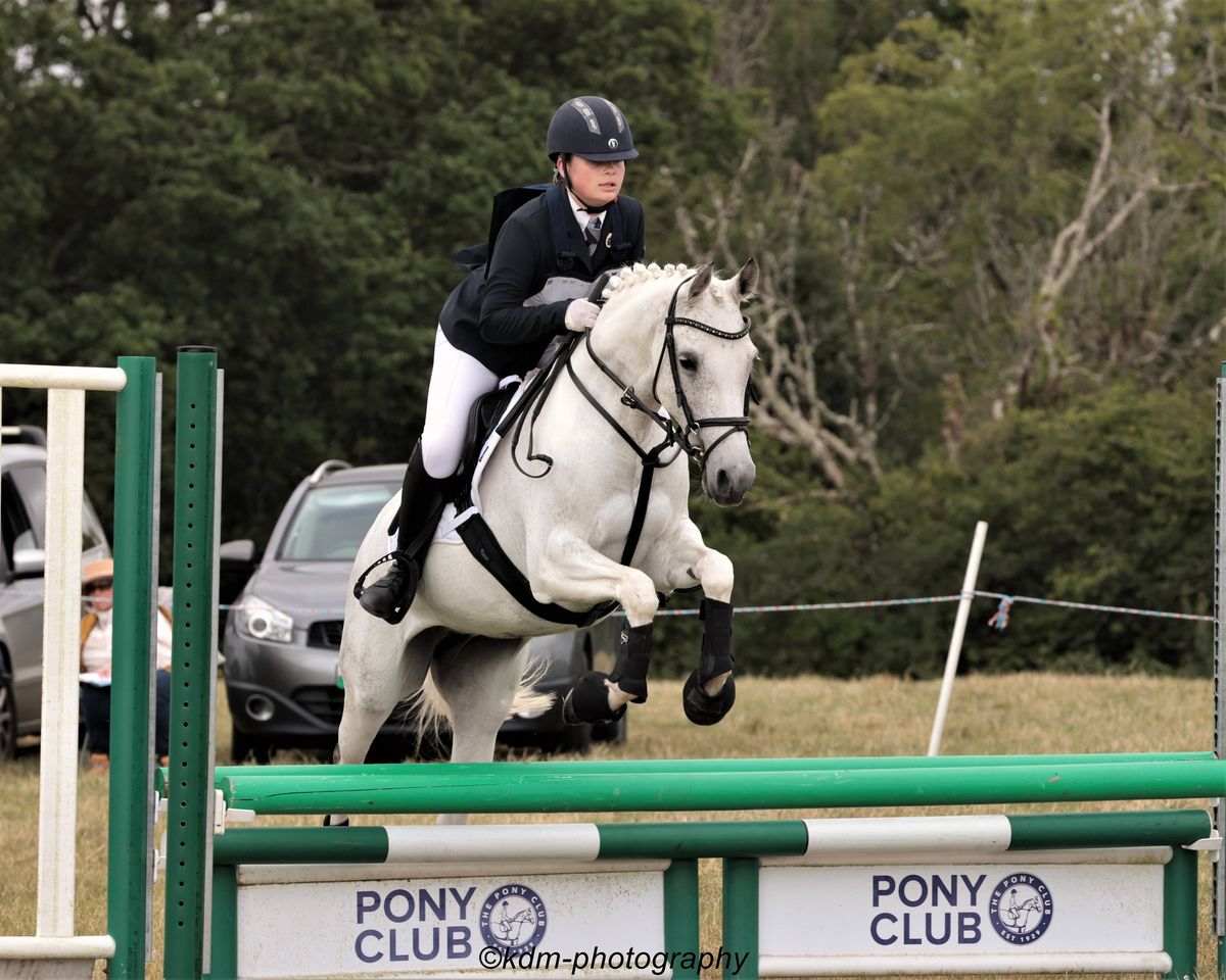 Show Jumping Clinic- Full Course