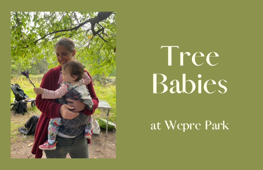 Tree Babies - March \/ April 2025