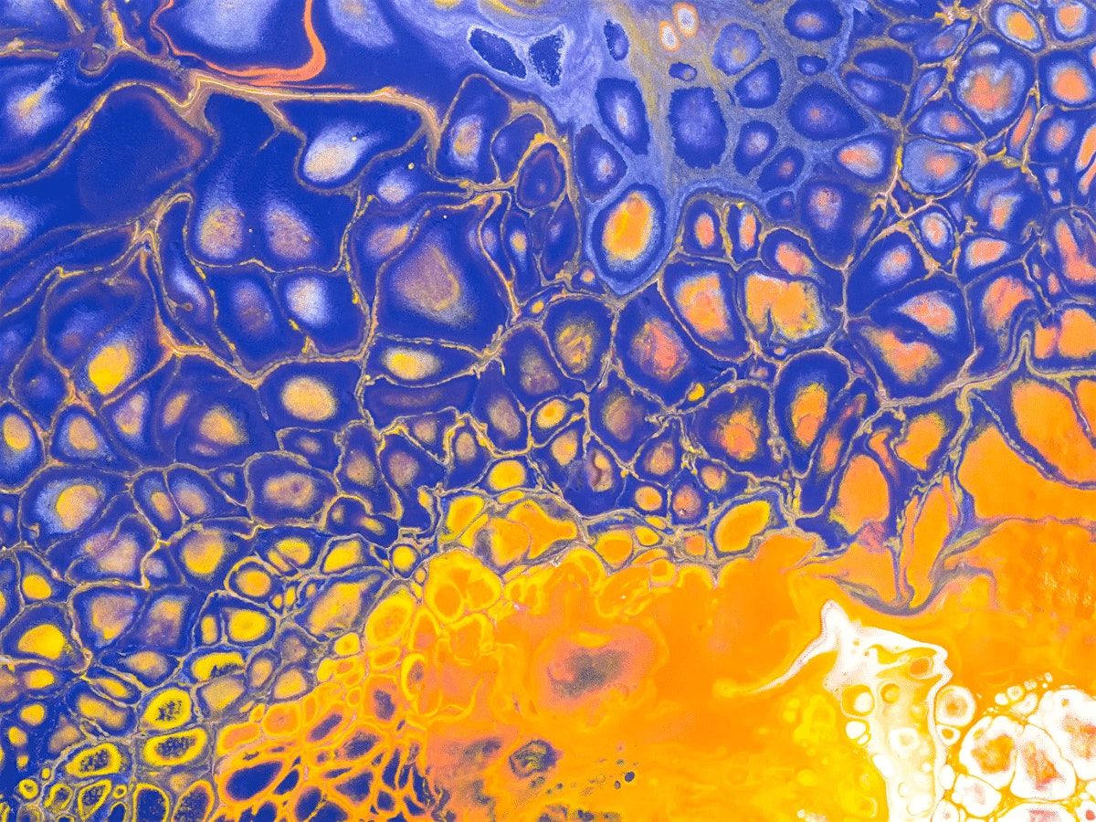 [WORKSHOP] Fluid Art: Paint Pouring Magic