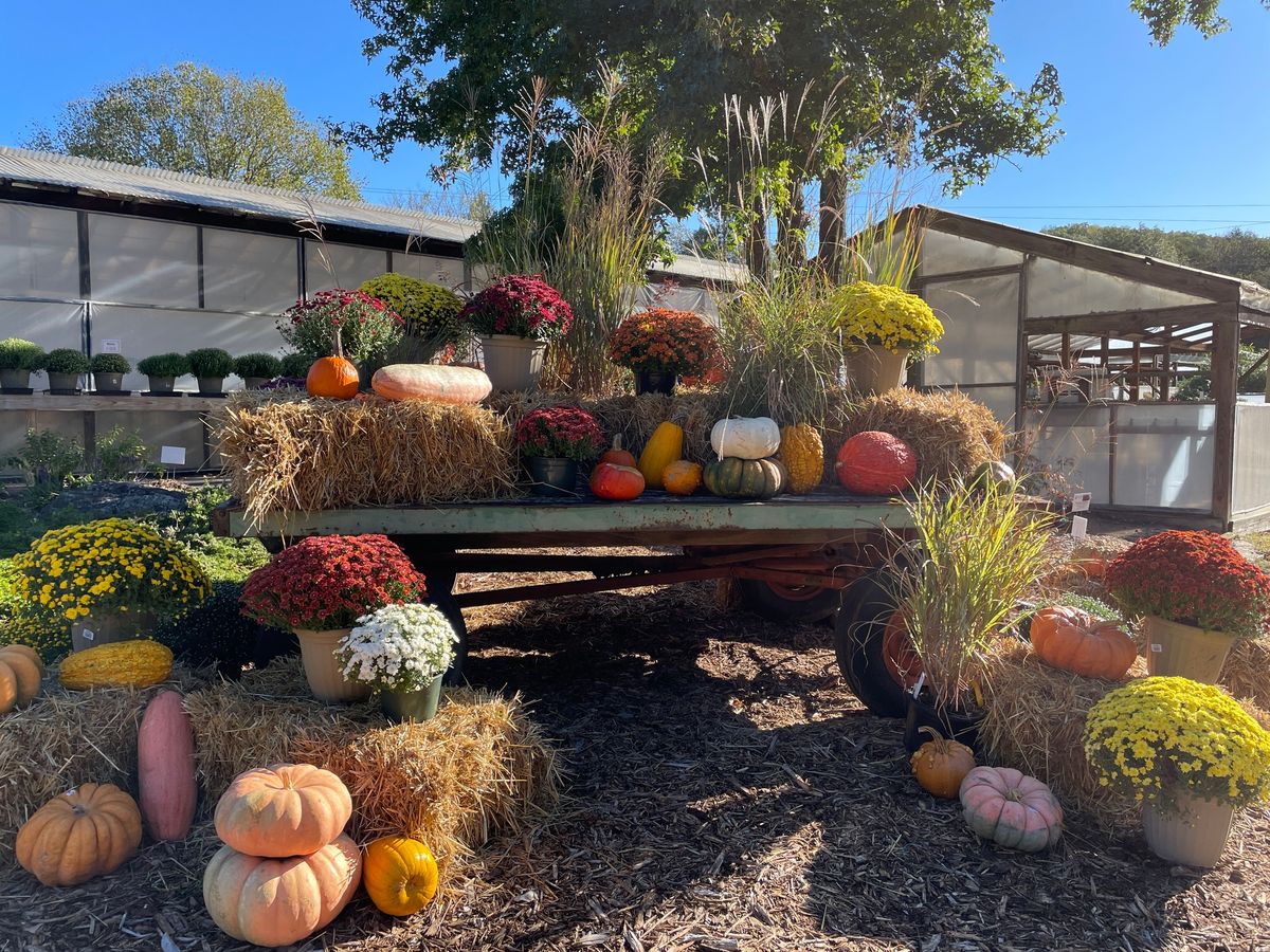 Bear Creek Nursery Fall Festival