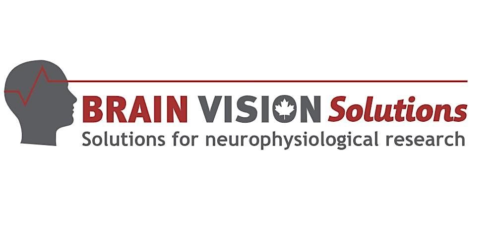 EEG data analysis w\/ BrainVision Analyzer: raw data to evoked potentials