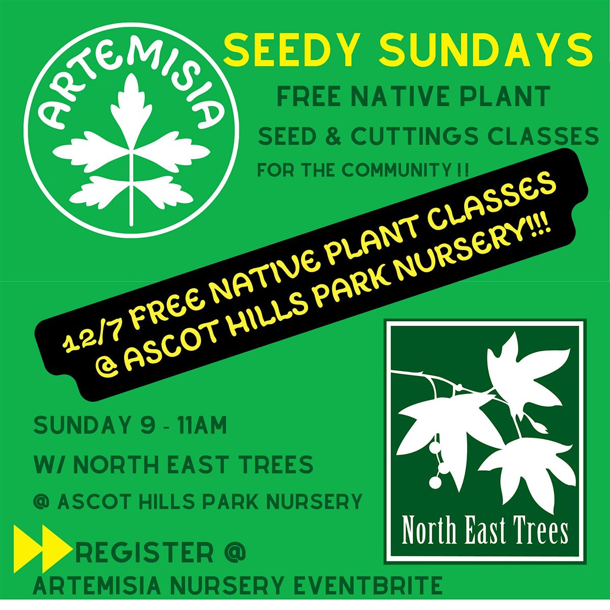 Native Plant & Seed Propogation Classes - FREE @ Ascot Hills Park