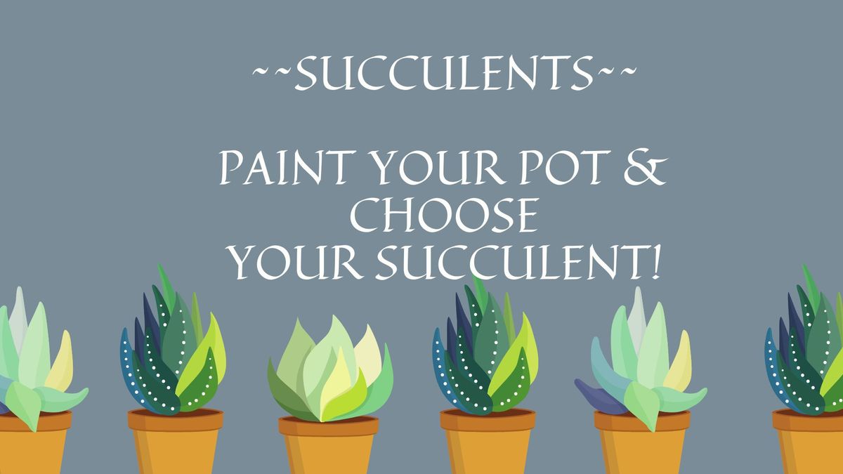 Succulents! Paint Your Pot & Choose Your Succulent! 