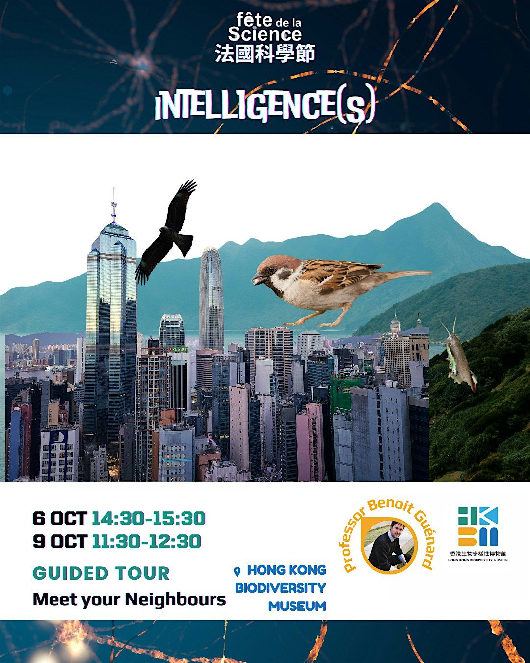 Meet Your Neighbors Guided Tour (English),   6 OCT