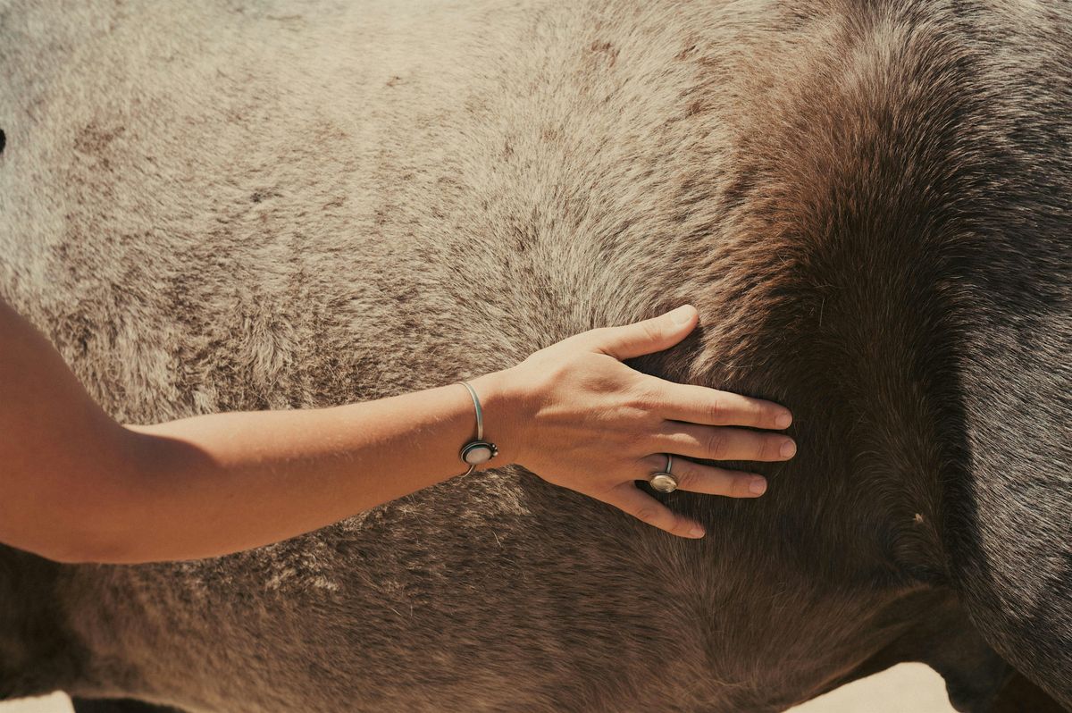 Synchrony Women's Retreat