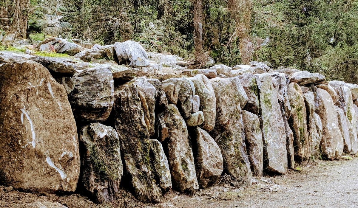 Introduction to Dry Stone Wall Construction Weekend - Wexford