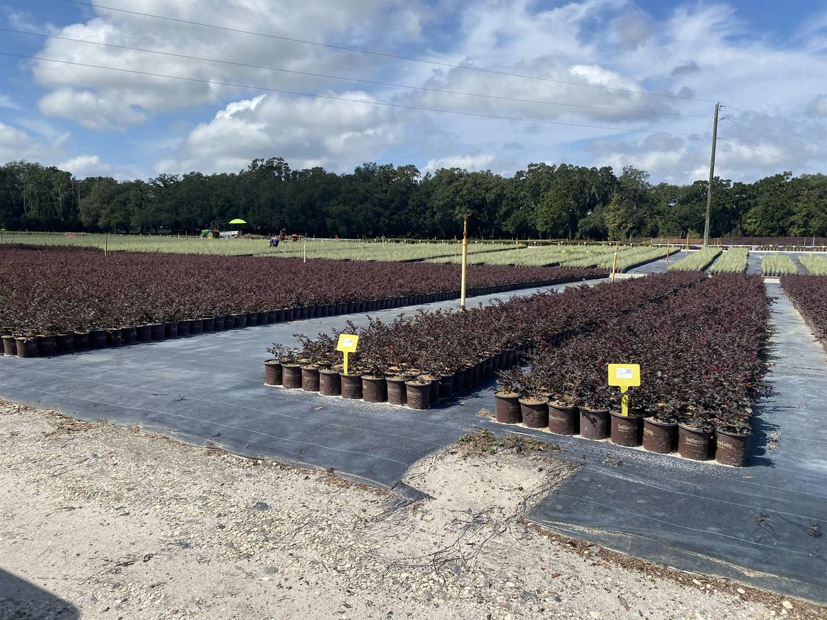 UF\/IFAS Manatee County Core and Private Pesticide Test Preparation