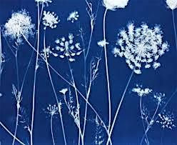 Majestic Monotprint with Cyanotypes
