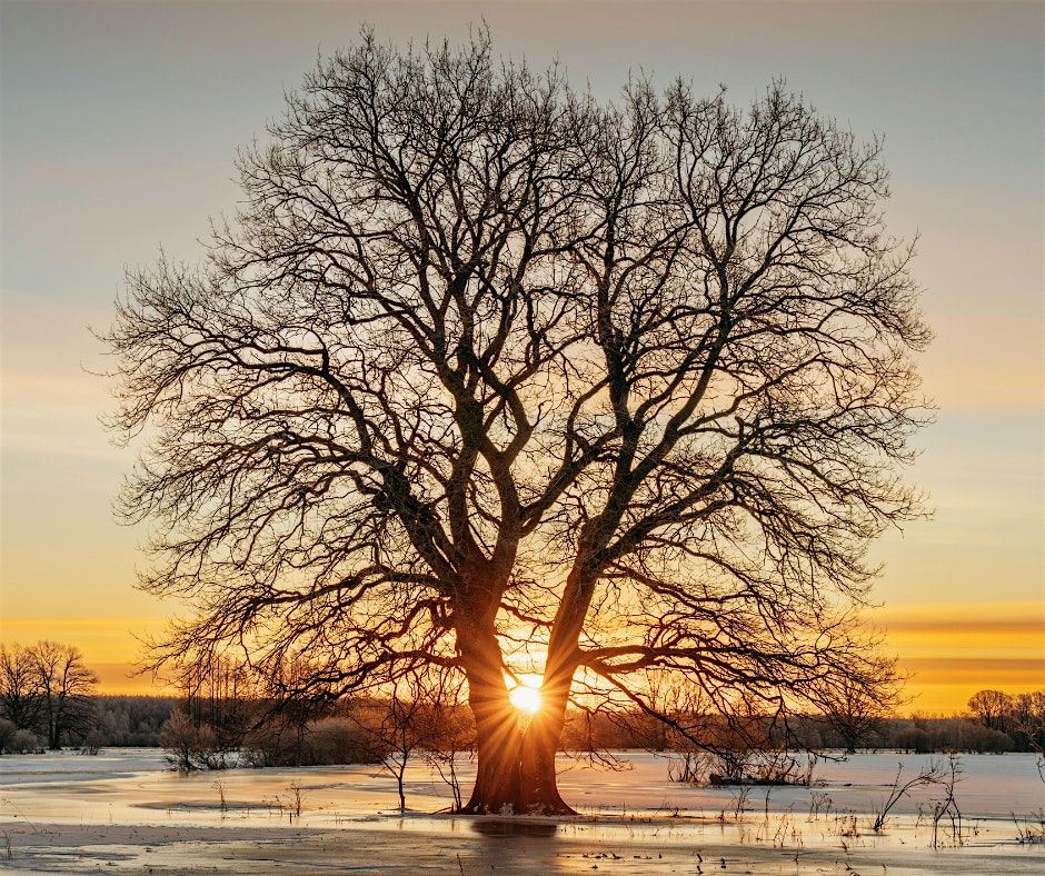 A Pocket of Soft, Slow, Still | A Day Yoga Retreat