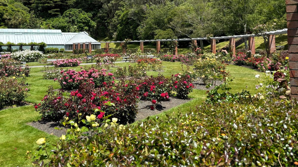 Ring around the Roses - guided walk