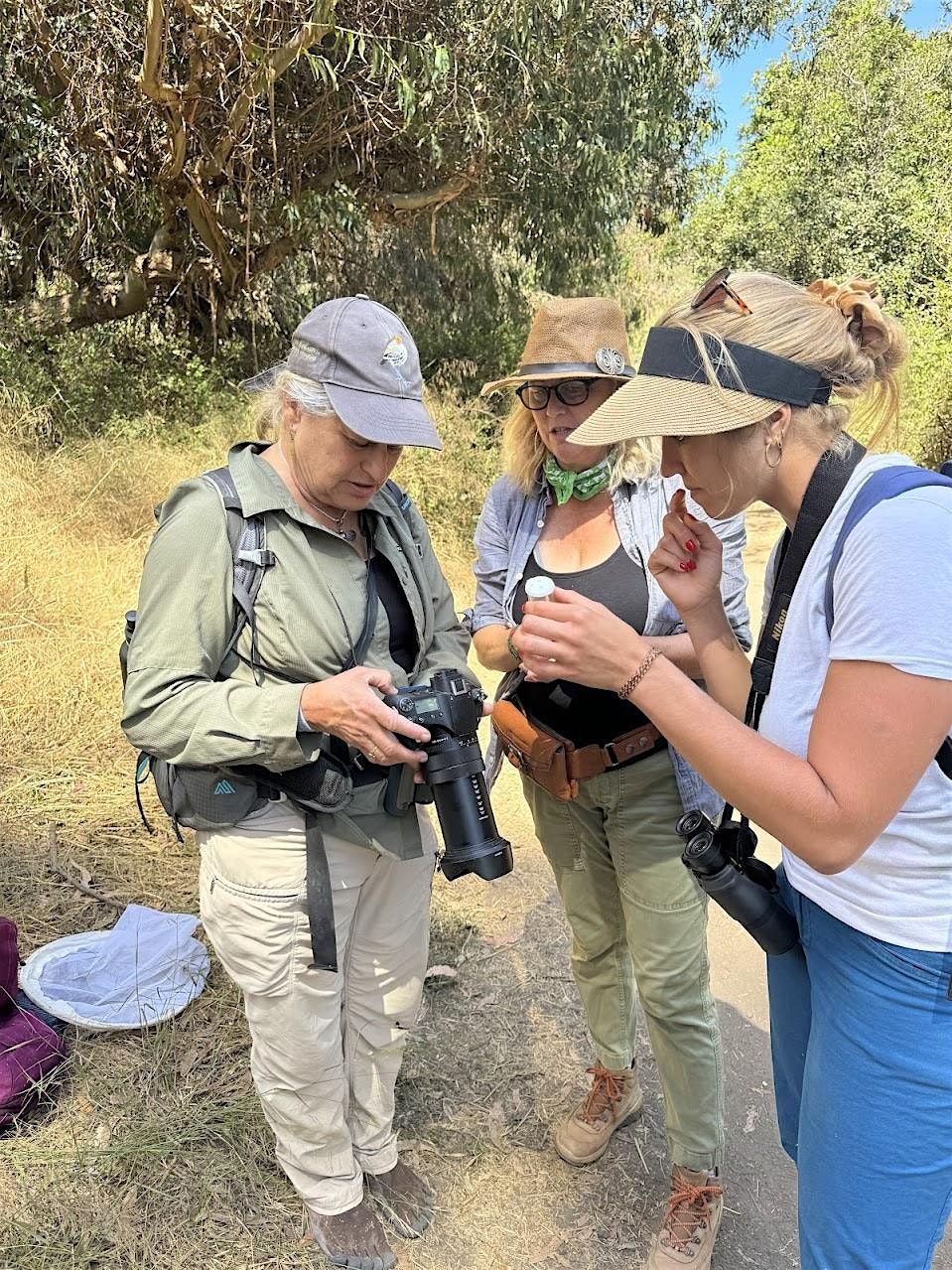 Pollinator Party: Bioblitz Santa Cruz Island