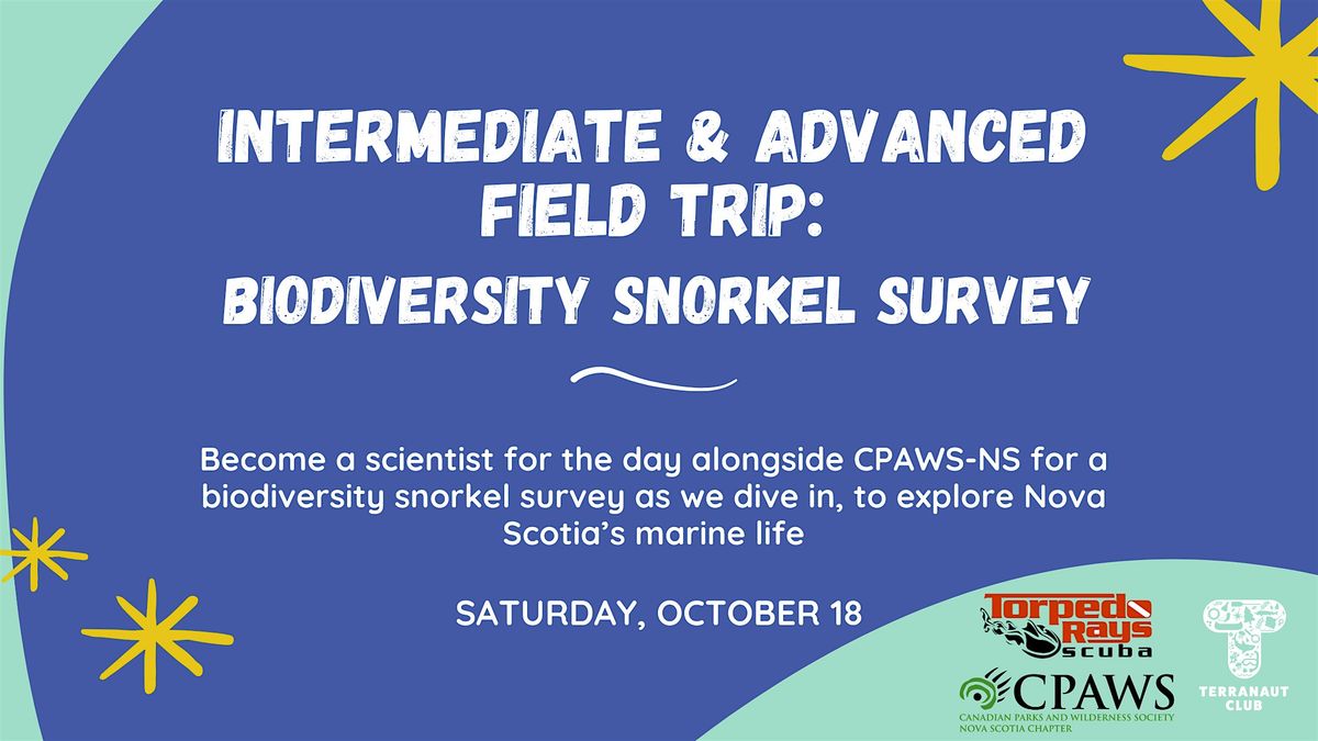 Int & Adv Field Trip: Biodiversity Snorkel Survey