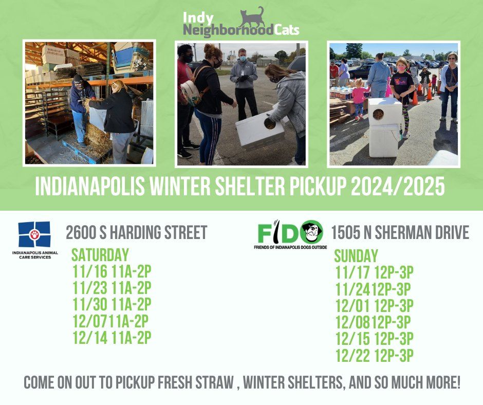 2024 Community Cat Winter Shelter Pickup At FIDO