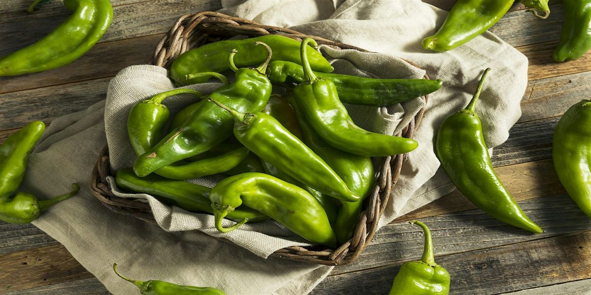 A Hatch Chile Intensive