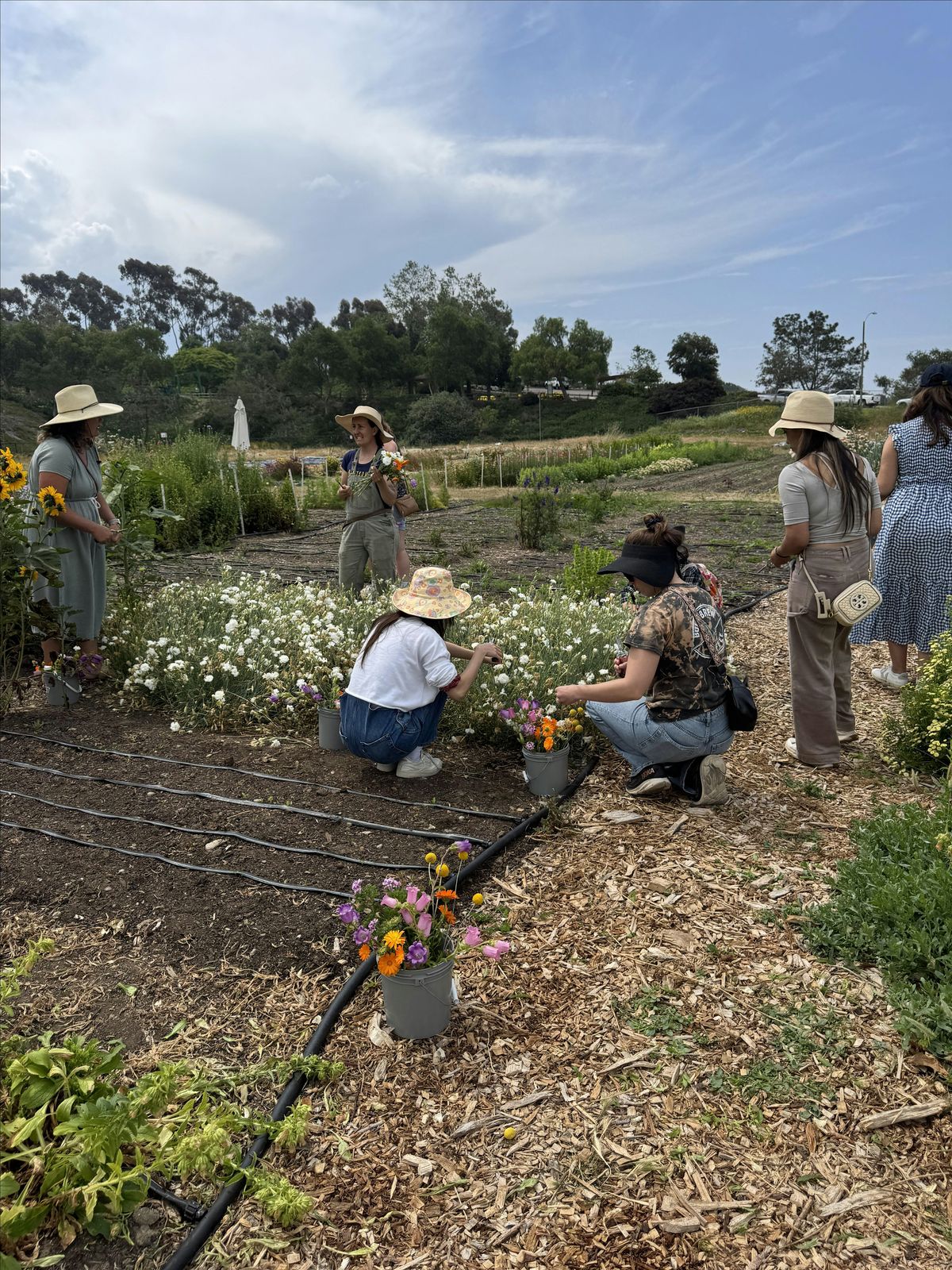 Floral Affair: Tea, Tour and Flower Gleaning on the Farm
