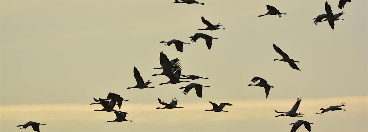 When We Sing, We Sync: Interpersonal Synchrony in Polyphonic Encounters