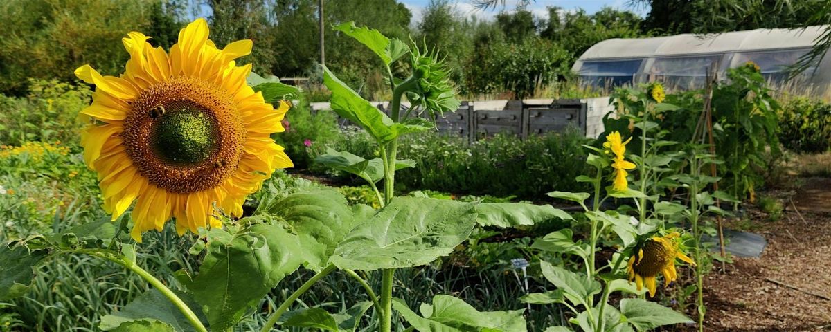 Grow Leader Course - Spring 2026
