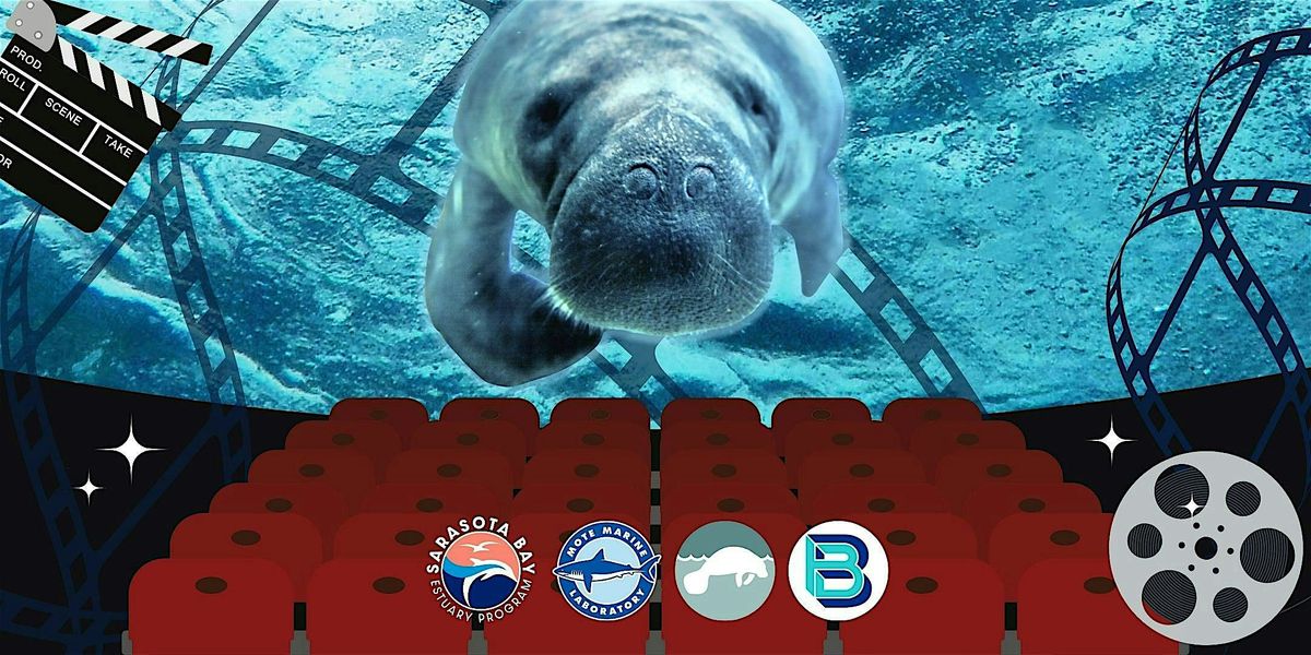 Manatee 360: A Night Beneath the Surface