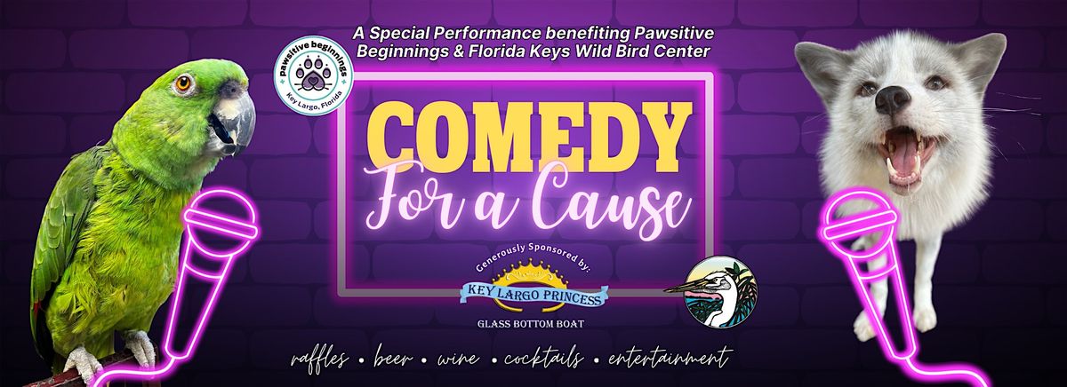 Comedy For A Cause