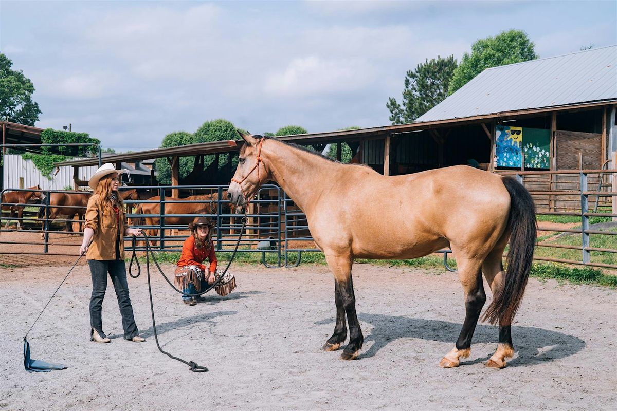 Student of the Horse: A Foundation Course to Natural Horsemanship