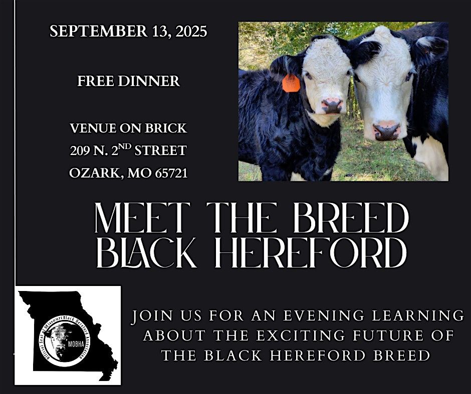 Meet The Breed, Black Hereford