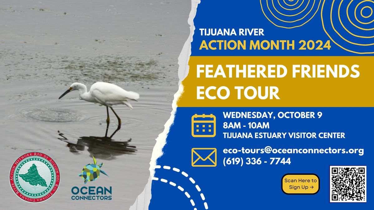 Feathered Friends Eco Tour