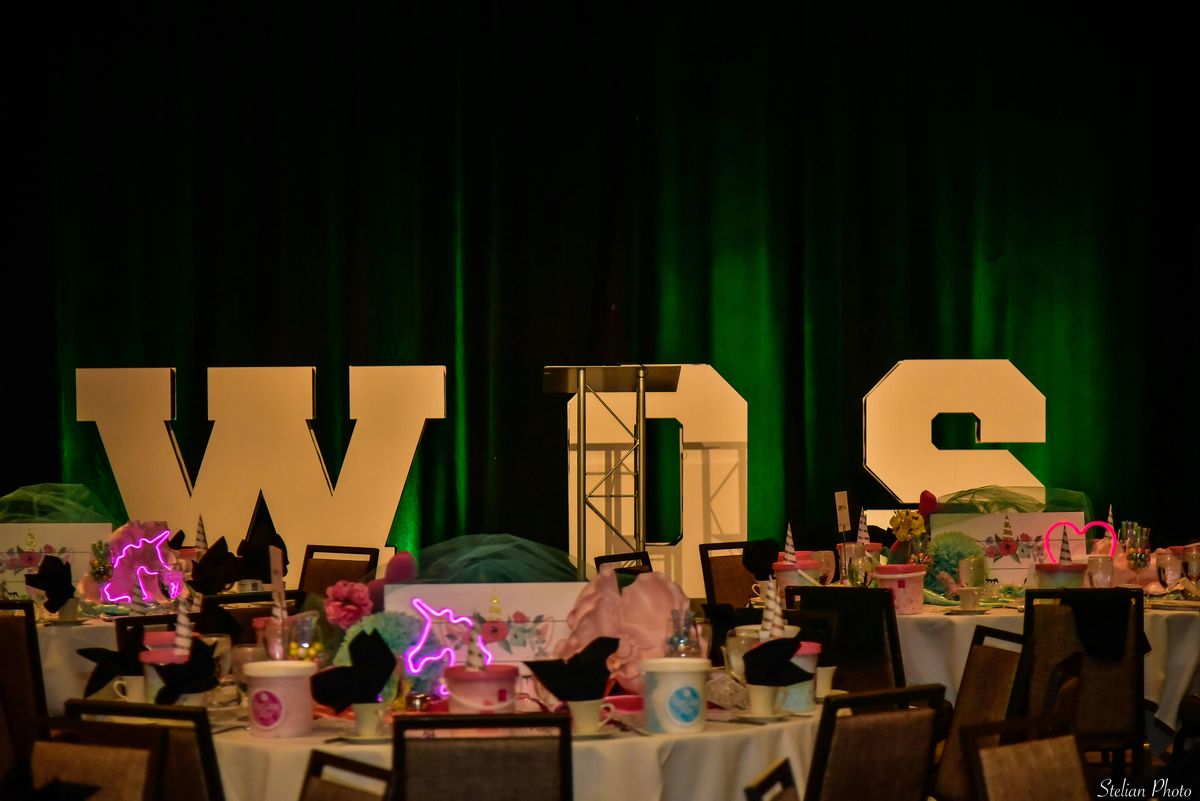 Women of Strength Event XVII