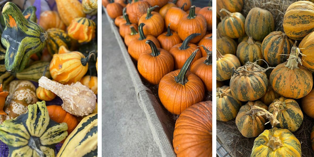 NHG's Fall Festival 2025