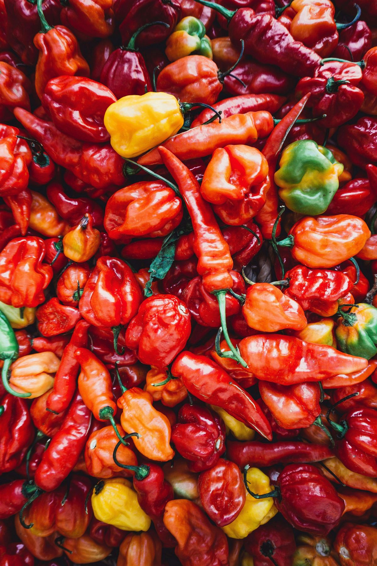 Pepper School