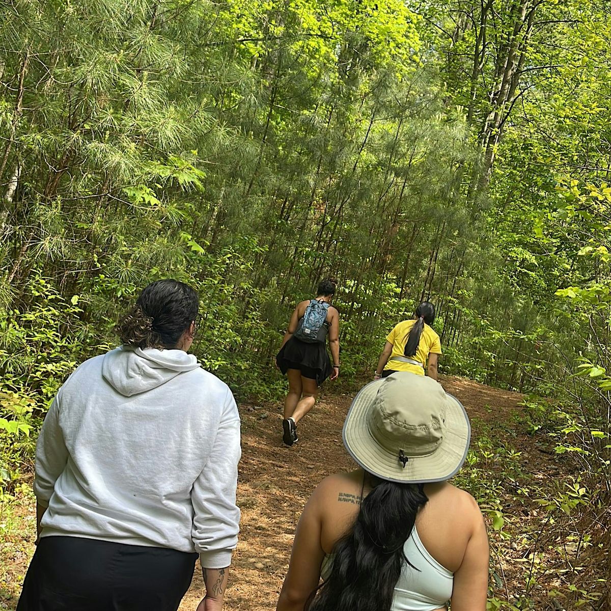 Earth + Ease: A Mindful Nature Walk + Art Experience