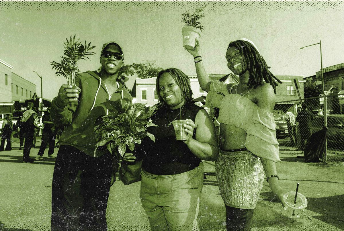 Plant Swap Lounge