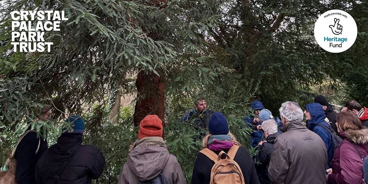Autumn Heritage Tree Walk with Greg Packman - Geological Court