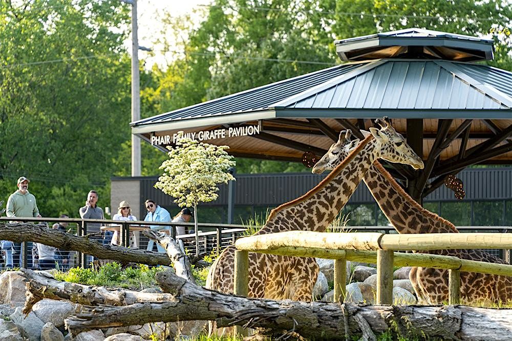 Pilot Zoo-B-Q