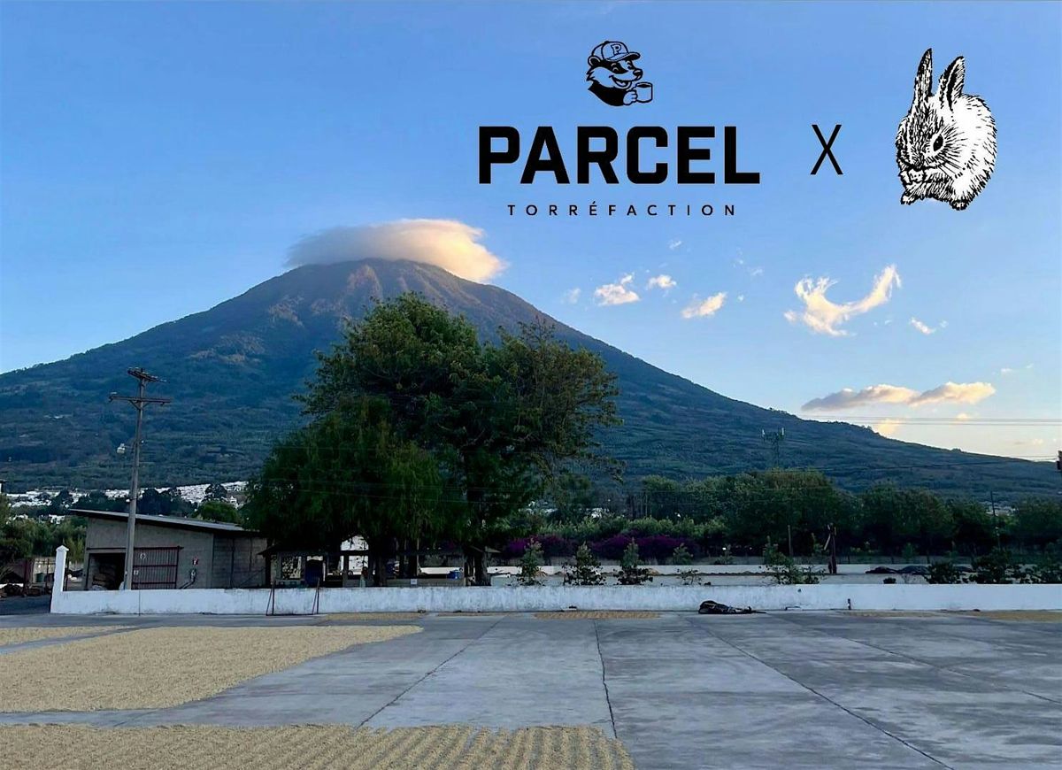 Parcel Cupping at Prufrock