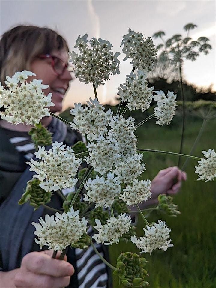 Guided Foraging Walk at St Paul's Walden Bury