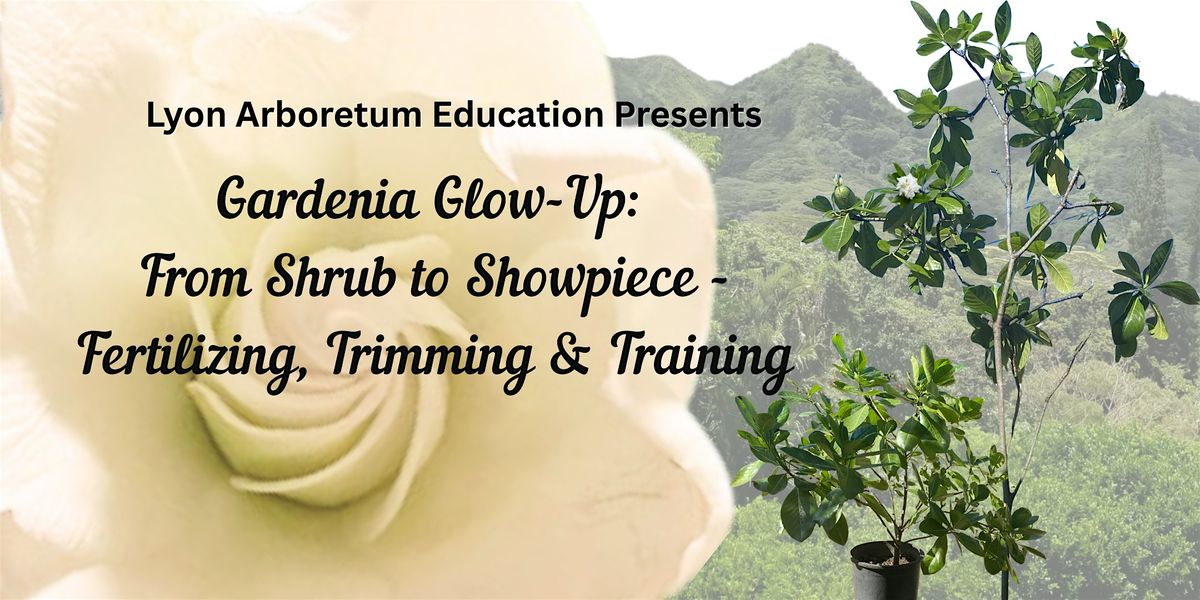 Gardenia Glow-Up: From Shrub to Showpiece
