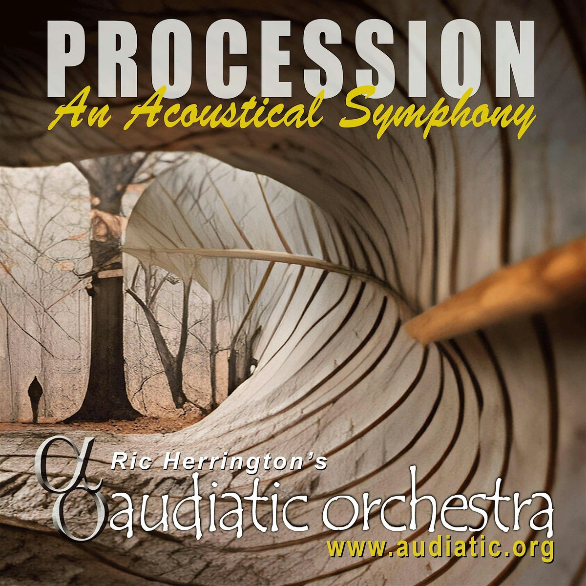 Album Launch Party for Ric Herrington's Audiatic Orchestra PROCESSION