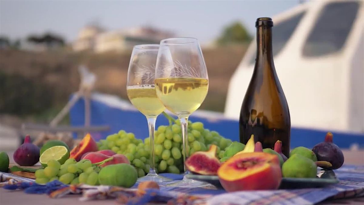 Wines of the World