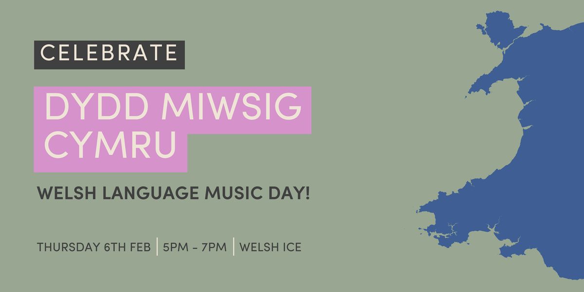 Welsh Language Music Night