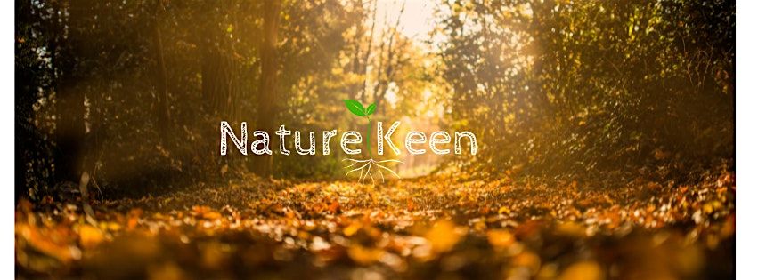 Embracing Autumn: An introduction to the basics of foraging