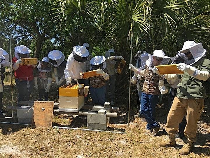 Intro to Beekeeping | Become a Beekeeper 5-wk Hands-On Workshop
