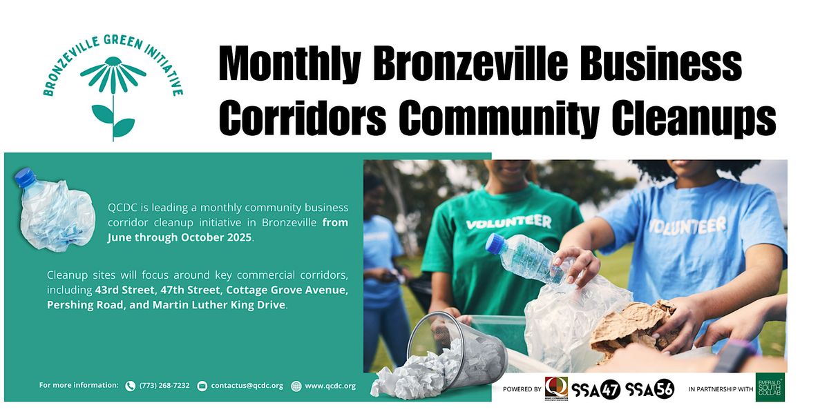 Bronzeville Business Corridors Community Cleanup