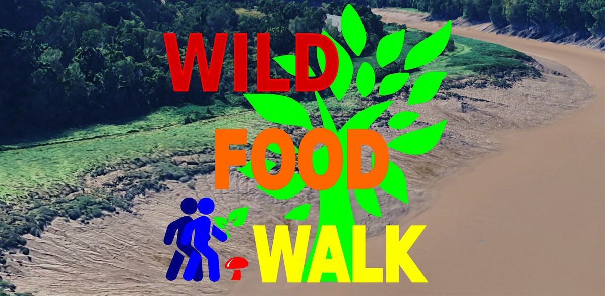 October Sea Mills (Bristol) Wild Food Foraging\/ Forager Walk.