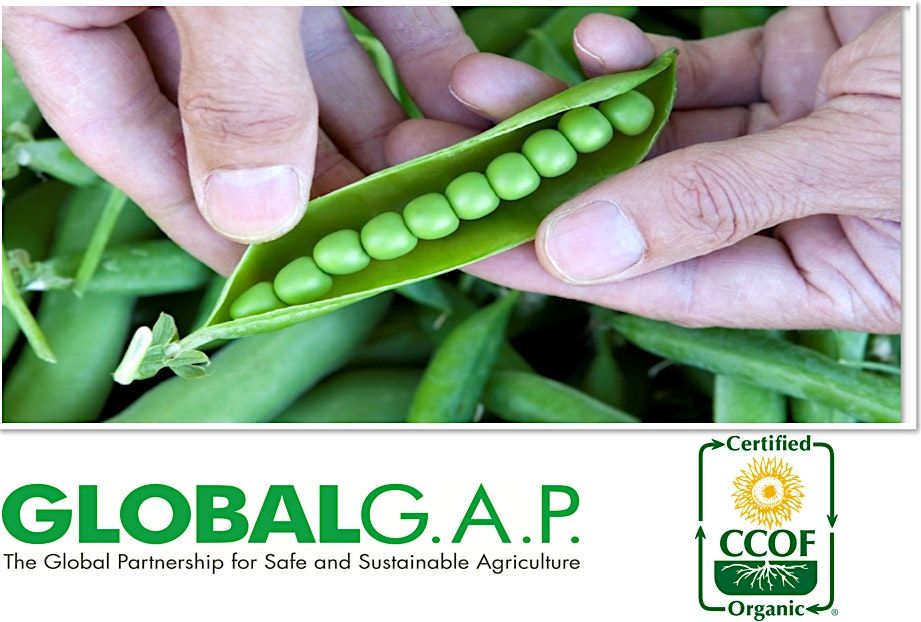 GLOBALG.A.P. Integrated Farm Assurance (IFA) Plants v6 GFS Trainings