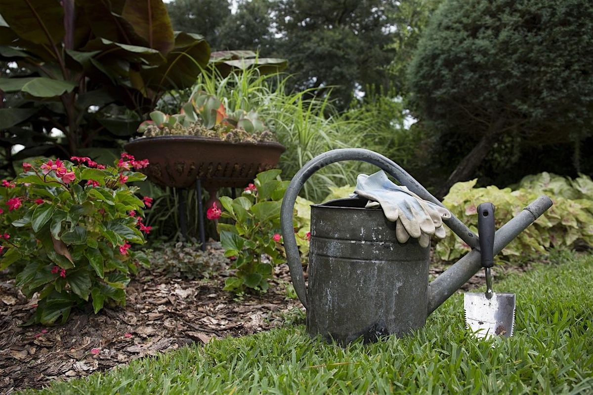 Lunch & Learn: Gardening in Florida for New and Part-Time Residents