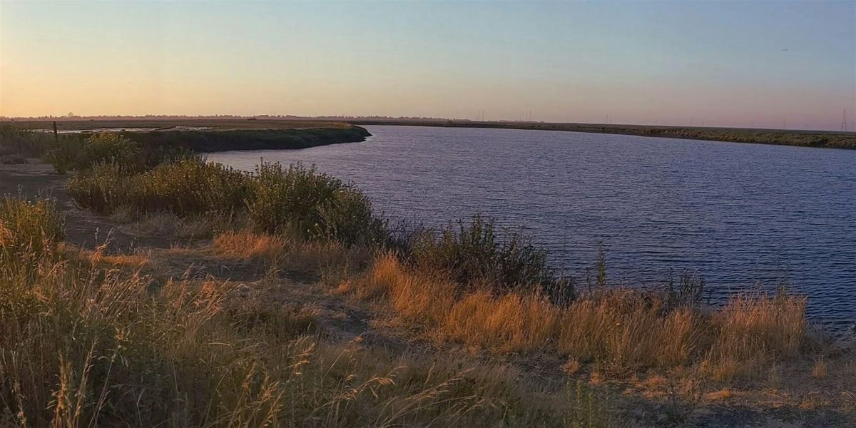 Bair Island Sunset Walk